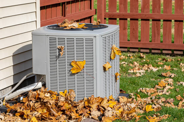 Best Local HVAC companies  in Dexter, GA