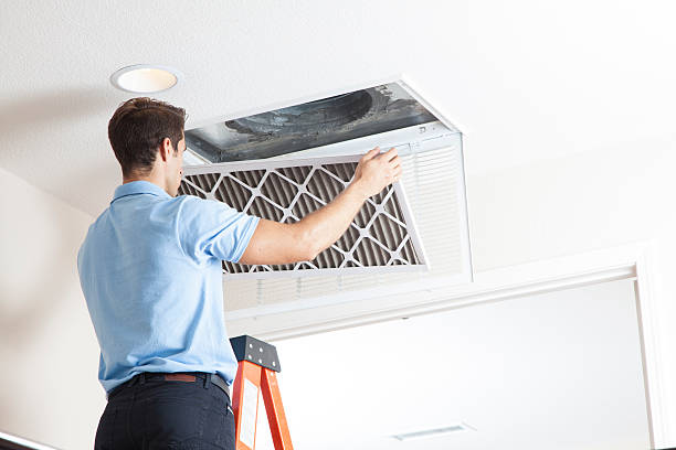 Best Local HVAC companies  in Dexter, GA